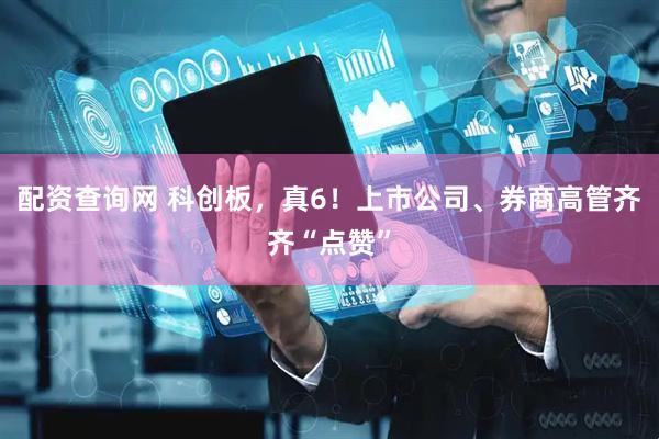配资查询网 科创板，真6！上市公司、券商高管齐齐“点赞”