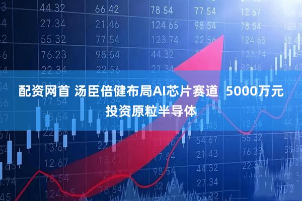 配资网首 汤臣倍健布局AI芯片赛道  5000万元投资原粒半导体
